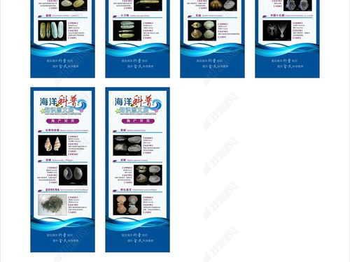蓝色海洋科普图文展易拉宝展架设计 探索海洋奥秘，守护蔚蓝家园